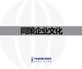 致客戶的承諾——做值得托付的房地產智囊\n副標題 某房地產咨詢服務公司企業文化重塑行動綱要文件（內部審核版）\n\n**第2-3頁 我們的行業信念**\n? 房地產不僅是鋼筋水泥，更是城市靈魂的載體?！拔覀冏鹬孛恳粔K土地的基因?！盶n? 唯一不變的是變化與專業。核心命題 從增長邏輯轉向價值邏輯的生存之道。\n\n**第4-5頁 使命定義**\n我們存在的根本原因 “賦能不動產全周期，讓投資回歸價值本質?！保ㄗ?在供給側改革與去金融化大背景下，幫助客戶甄別泡沫，專注抗周期真理。）\n\n**第6-8頁 戰略