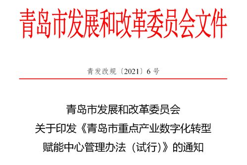首批申報即將展開 青島出臺重點產業數字化轉型賦能中心管理辦法