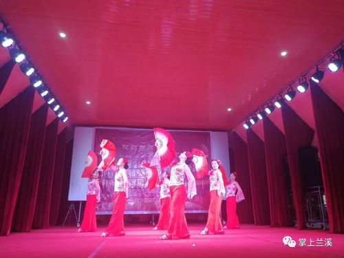 放歌新時代，文化進萬家——記2019新春文化系列活動與蘭溪水鳥藝術團的基層之旅