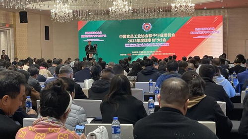 粽香飄四海，百億啟新程——2023全國粽子行業(yè)理事會(huì)擴(kuò)大會(huì)議暨文化藝術(shù)交流活動(dòng)圓滿召開